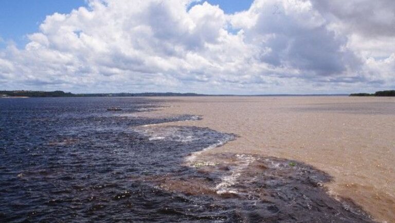 The Meeting of Waters: Where the Amazon River Meets the Rio Negro in Brazil