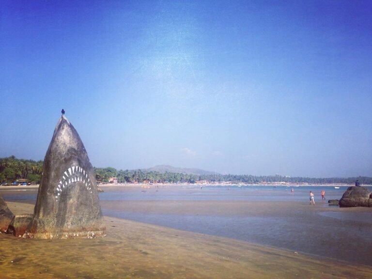 The Shark Rock: An Artistic Twist on Nature’s Canvas