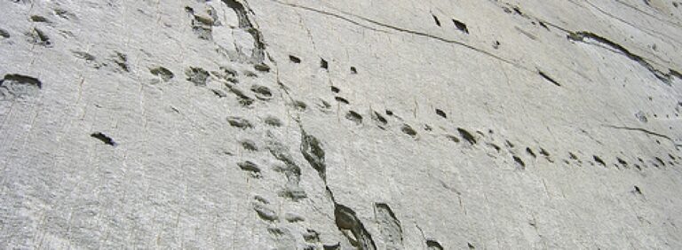 Discovering Cal Orck’o: The Ultimate Dinosaur Track Site in Bolivia