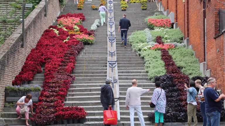 A Botanical Stairway: The Stunning Potted Plant Installation in Liège