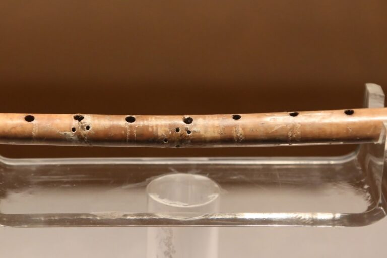 The 9,000-Year-Old Jiahu Flute: A Window into Early Civilization’s Musical Mastery