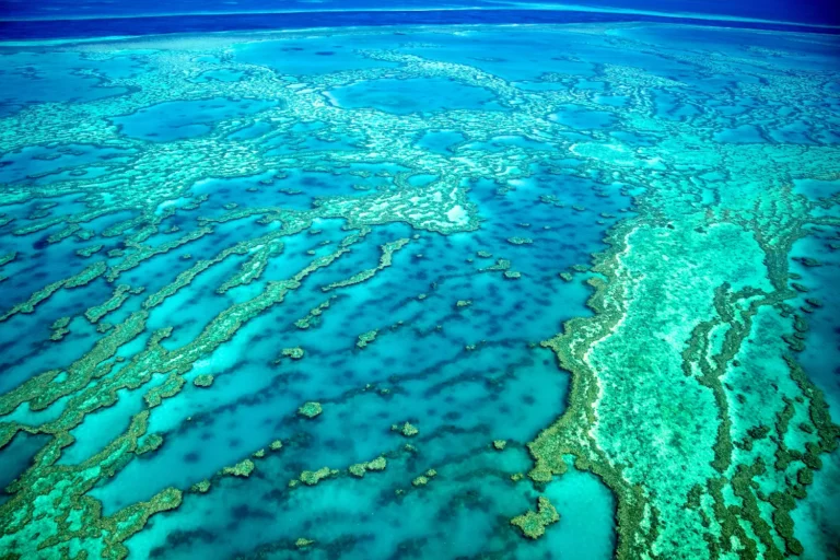 Exploring the Great Barrier Reef: A Living Wonder of the World