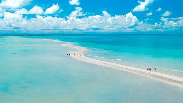 The Path of Moses: Walking on Water in Barra Grande, Maragogi