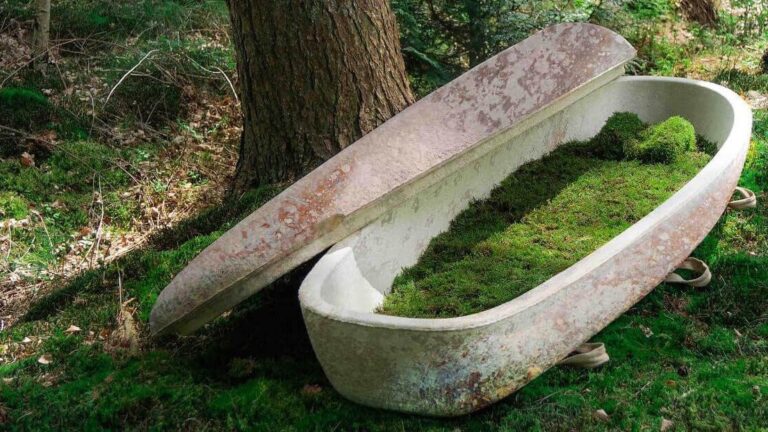 The Revolutionary Mushroom Coffin: A Sustainable Way to Return to Nature