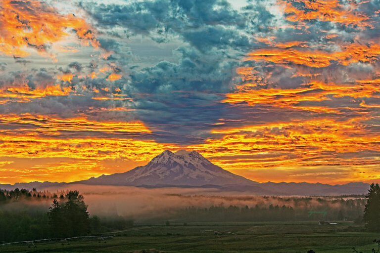 Mount Rainier: A Majestic Shadow at Sunrise