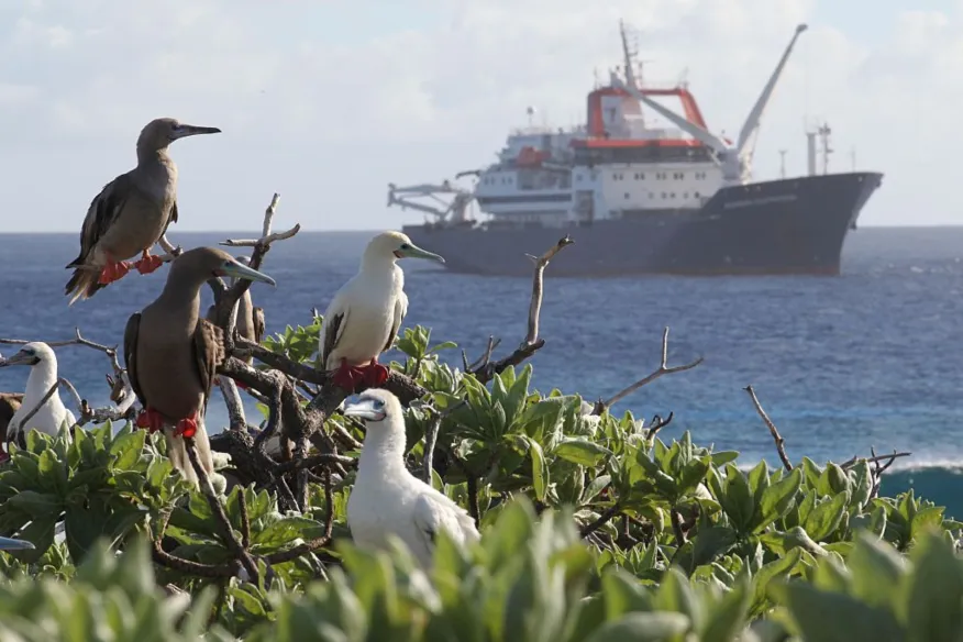 Tromelin Islandimage